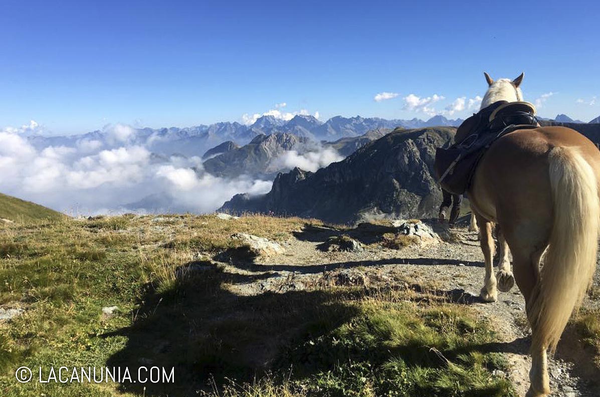  Chalets Mongioie, Reiten in Val Corsaglia