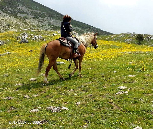 Horse to Chalets Mongioie, photo alpiligurioutdoor.it
