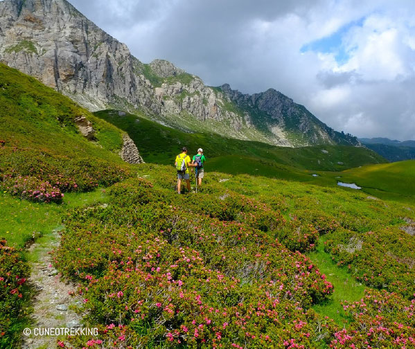 Trekking agli Chalets Mongioie, foto Cuneotrekking